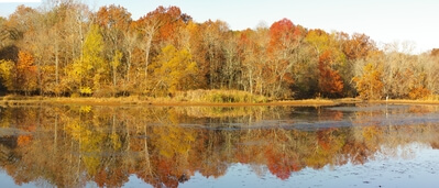 Fall colors reflected in the cove. (panorama)