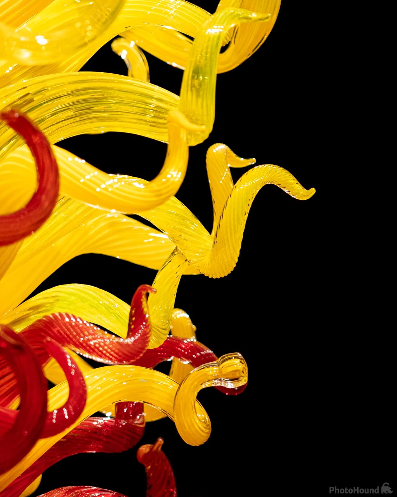 Image of The Chihuly Garden and Glass – Seattle Center by Adams Rosales