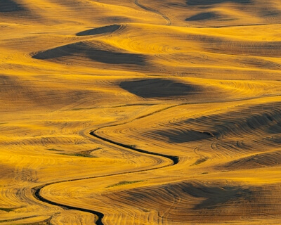 pictures of Palouse - Steptoe Butte