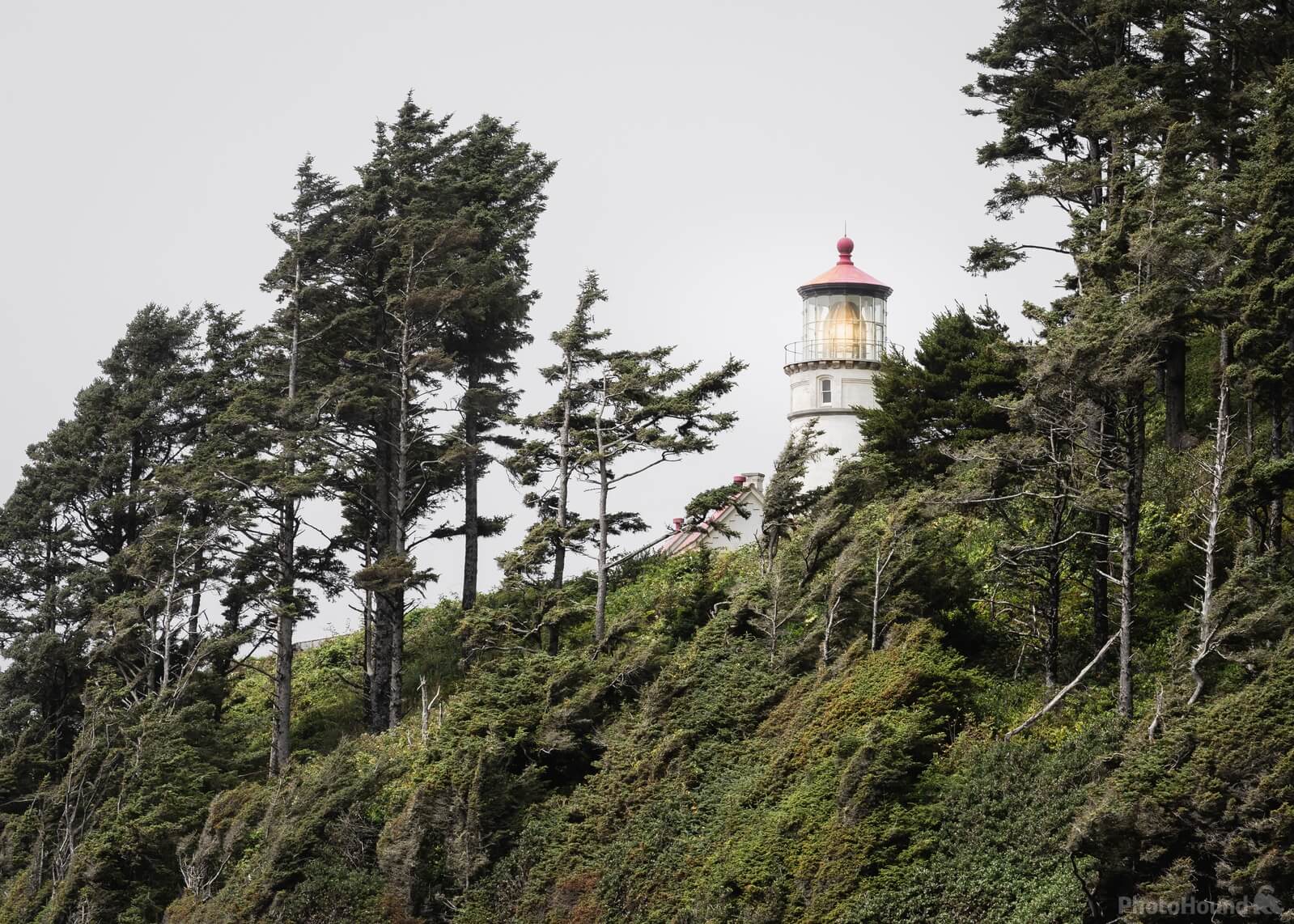 Image of Heceta Head Lighthouse by Adams Rosales