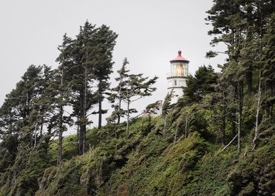 Picture of Heceta Head Lighthouse - Heceta Head Lighthouse