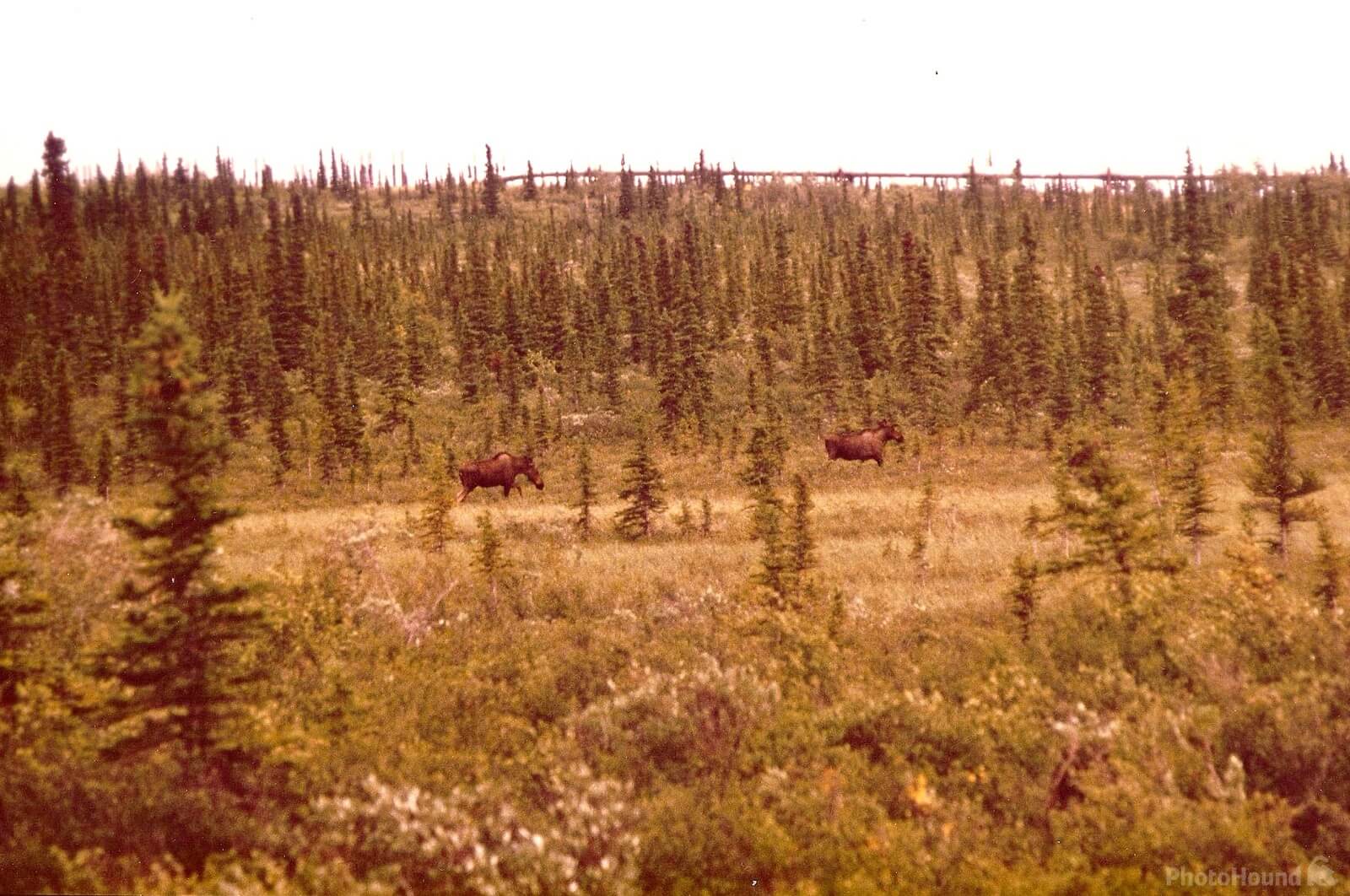 Image of Northern Terminus of the Alaska Highway by Ralph Troutman