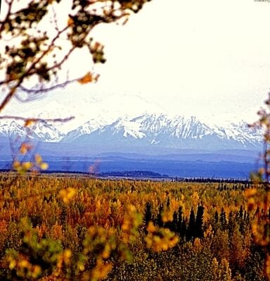 Autumn colors overlooking Mt Hayes and the Delta River near Delta Junction Alaska. Taken with a Pentax K1000.