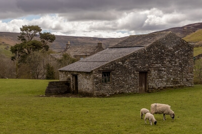 photos of The Yorkshire Dales - Angram Barns, Swaledale