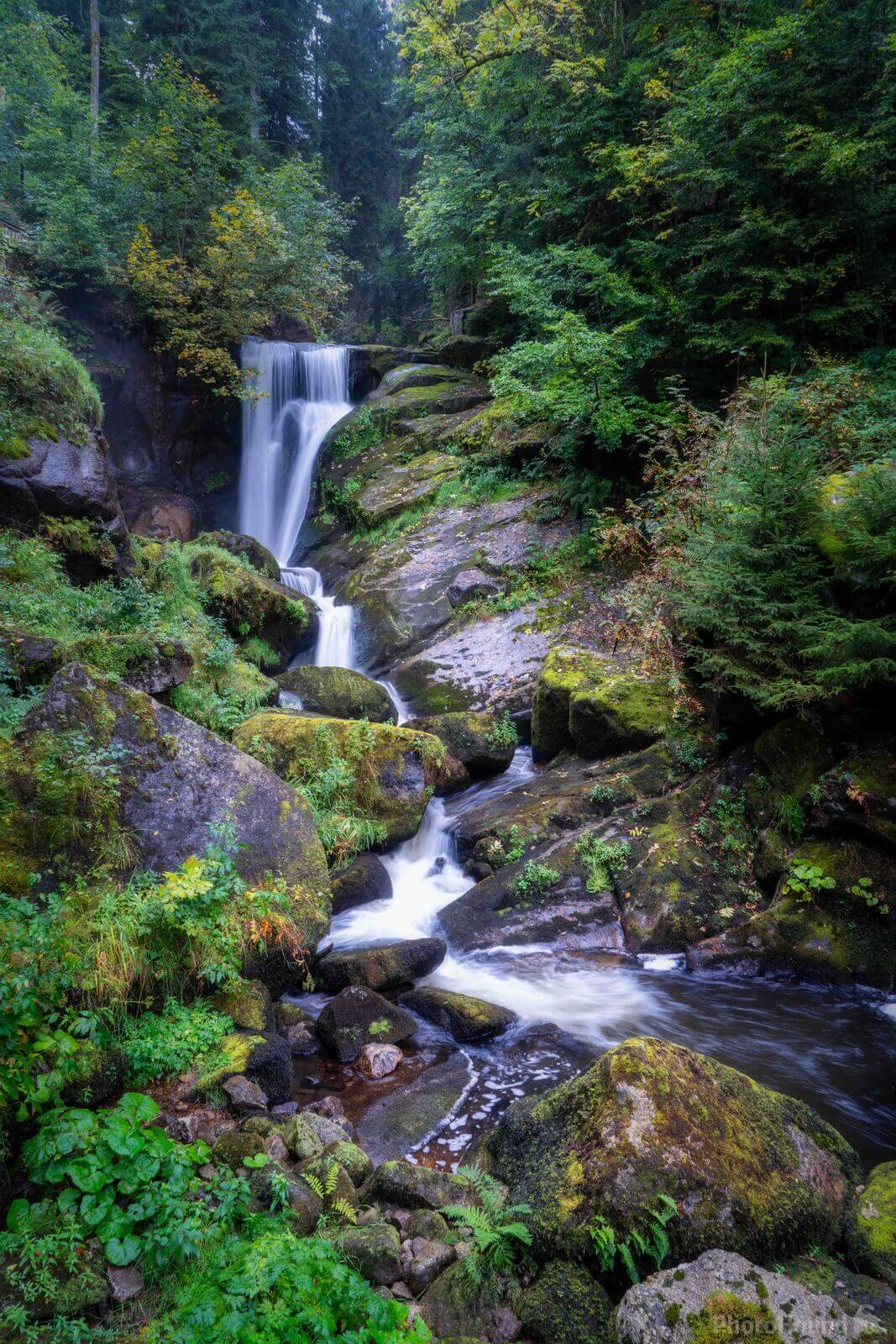 Image of Triberg Waterfalls by Michael Unruh