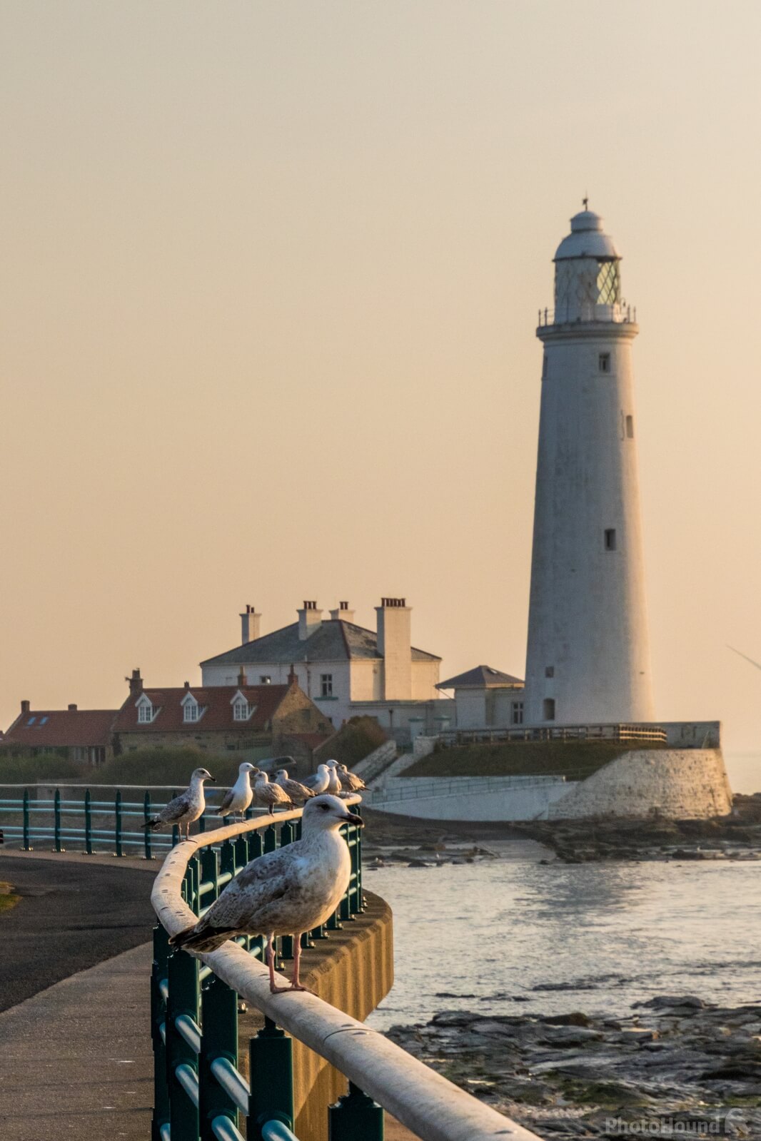 Image of St Mary\'s Lighthouse & Causeway by Andy Killingbeck