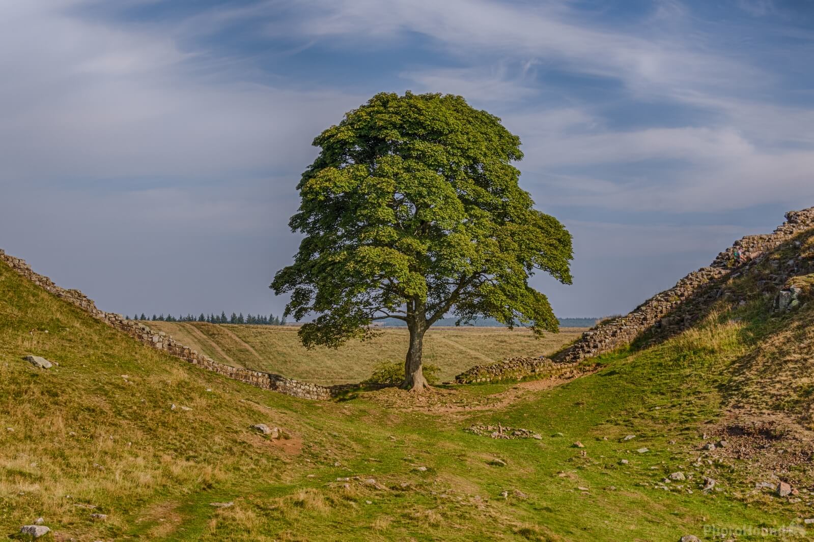 Image of Hadrian’s Wall - Sycamore Gap by Andy Killingbeck