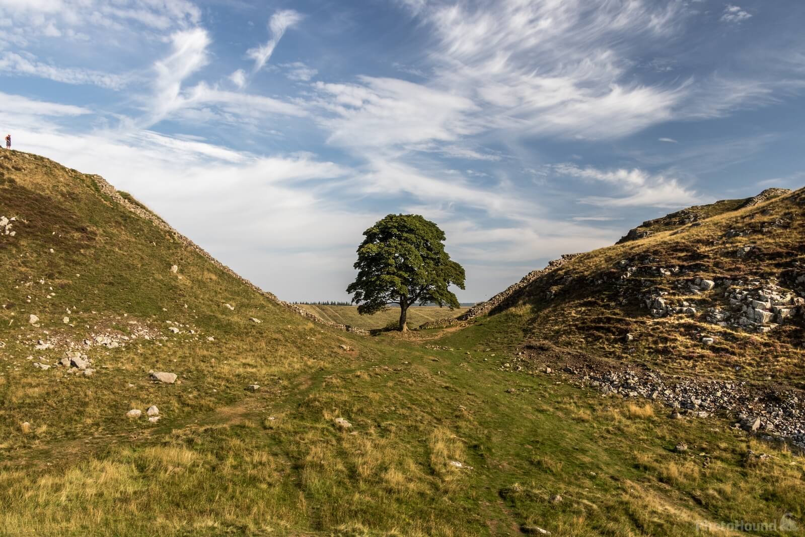 Image of Hadrian’s Wall - Sycamore Gap by Andy Killingbeck