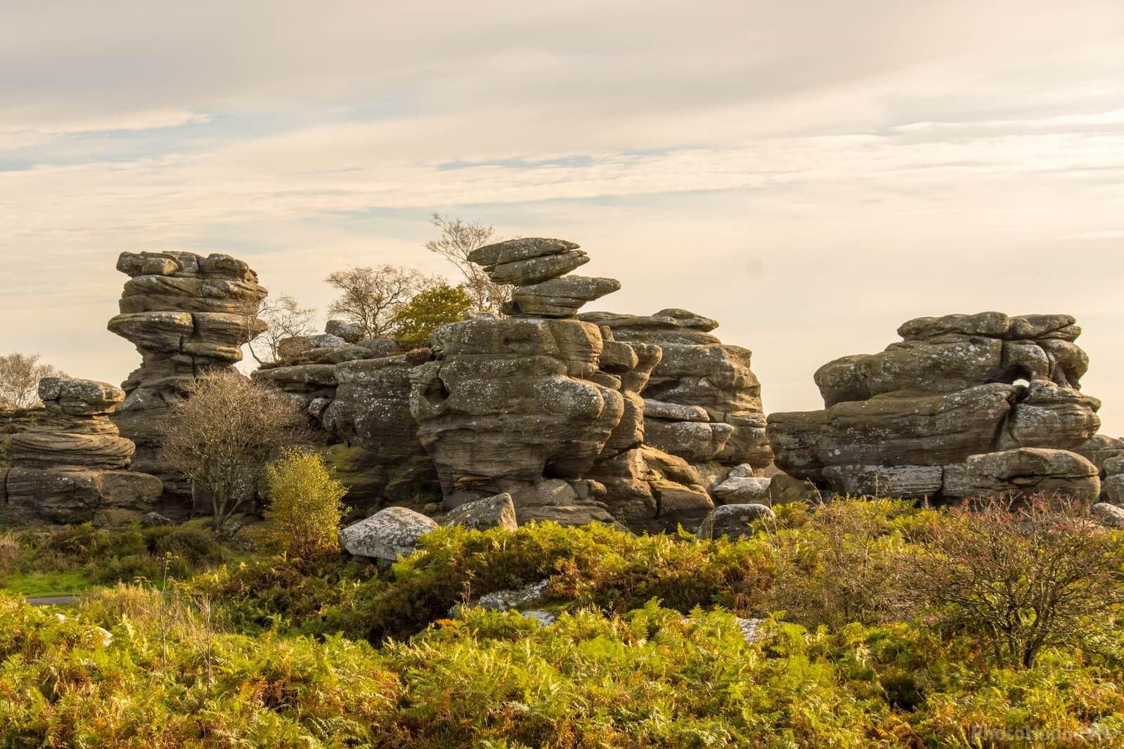 Image of Brimham Rocks, Nidderdale by Andy Killingbeck