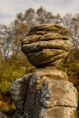 images of The Yorkshire Dales - Brimham Rocks, Nidderdale