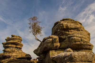 photos of The Yorkshire Dales - Brimham Rocks, Nidderdale
