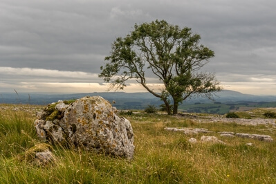 images of The Yorkshire Dales - Malham Cove