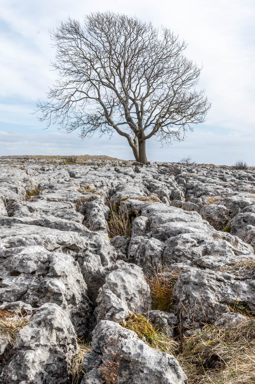 Image of Malham Cove by Andy Killingbeck