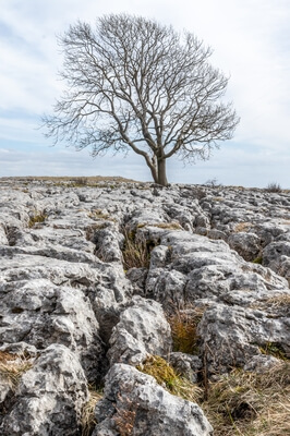pictures of The Yorkshire Dales - Malham Cove