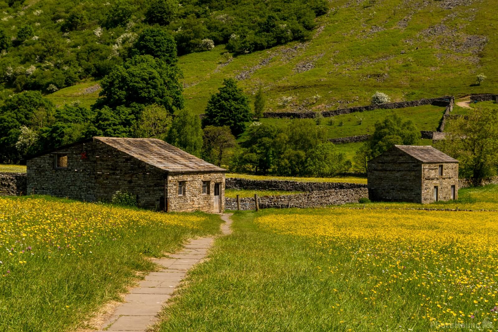 Image of Muker Meadows, Swaledale by Andy Killingbeck