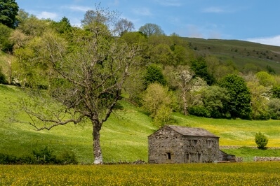 images of The Yorkshire Dales - Muker Meadows, Swaledale