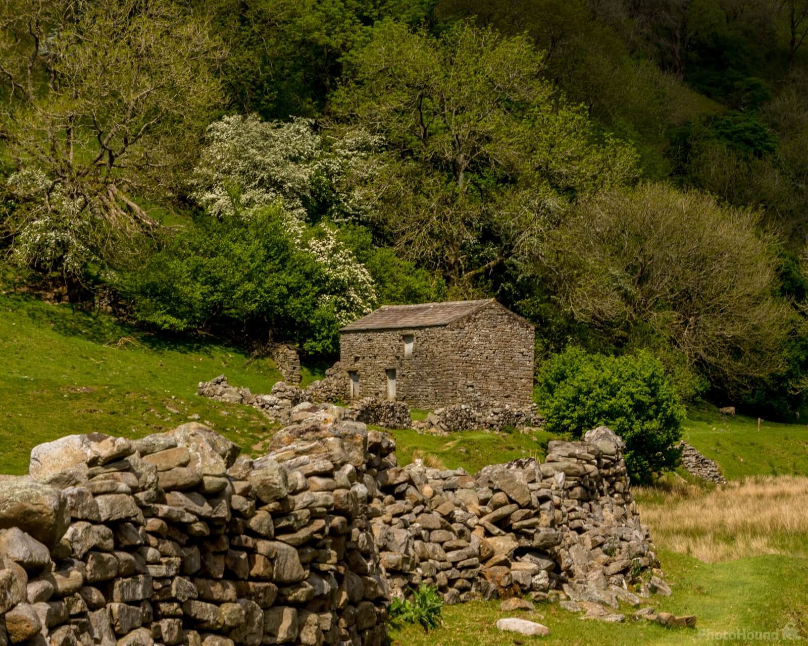 Image of Muker Meadows, Swaledale by Andy Killingbeck