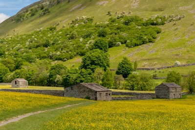 photos of The Yorkshire Dales - Muker Meadows, Swaledale