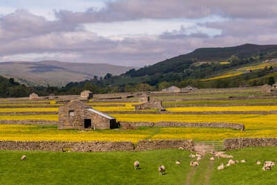 pictures of The Yorkshire Dales - Gunnerside 2
