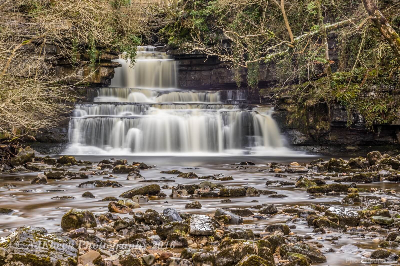 Image of Cotter Force by Andy Killingbeck