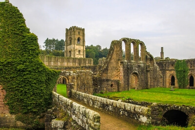 Image of Fountains Abbey - Fountains Abbey