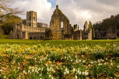 Photo of Fountains Abbey - Fountains Abbey