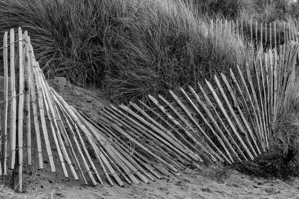 Fence along the dunes