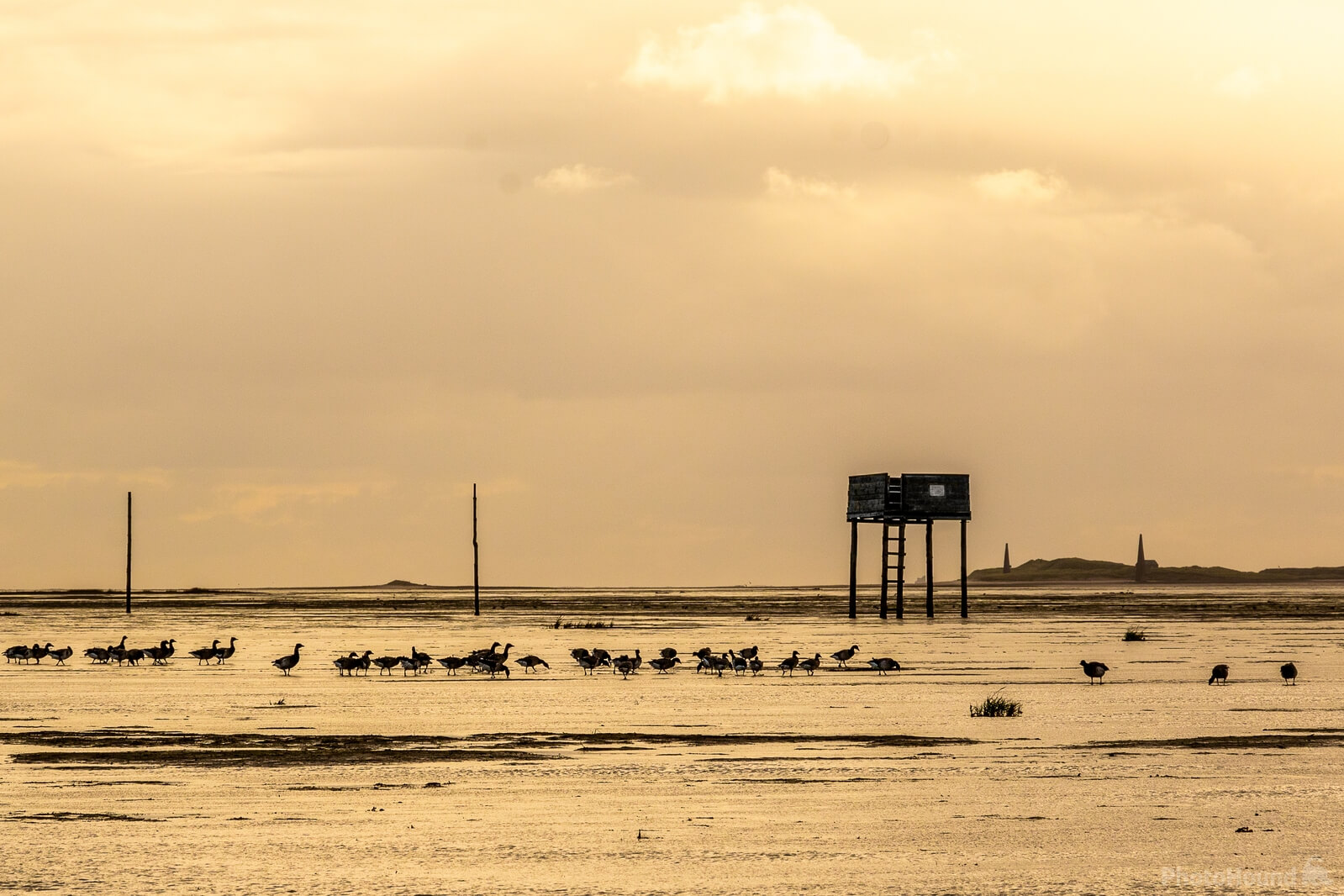 Image of Holy Island harbour by Andy Killingbeck
