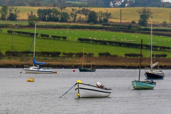 Boats in the estuary