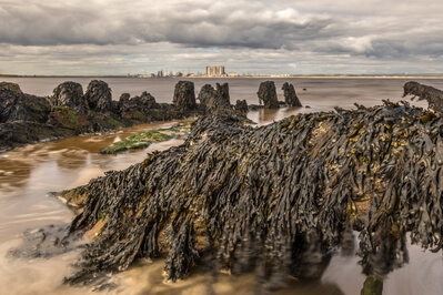 Picture of South Gare - South Gare