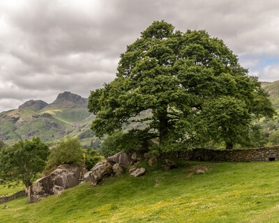 Picture of Langdale Boulders, Lake District - Langdale Boulders, Lake District