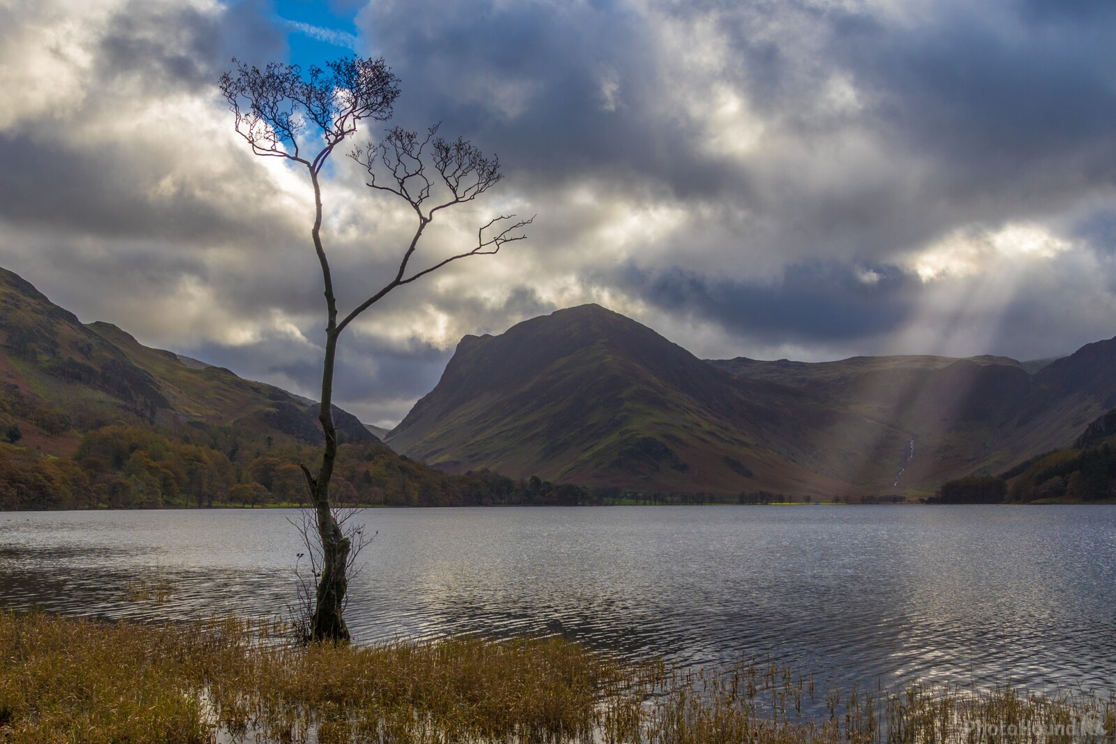 Image of Buttermere lonely tree by Andy Killingbeck