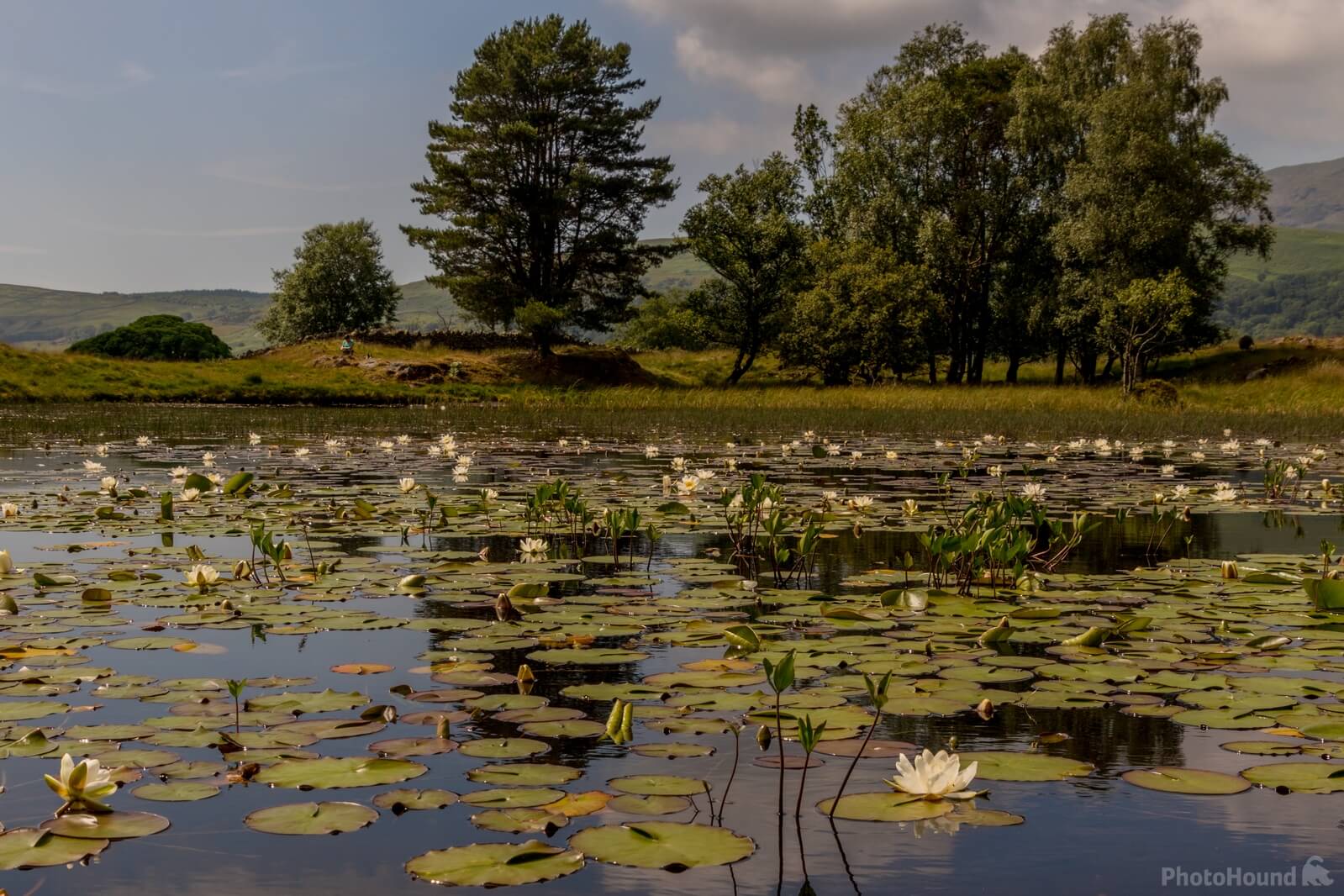 Image of Kelly Hall Tarn by Andy Killingbeck