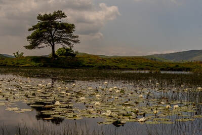 photography locations in Cumbria - Kelly Hall Tarn