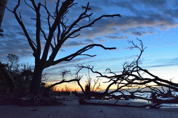 Sunrise through the tangle of driftwoodNikon D7100, 24-70mm, 24mm, f/2.8, 1/15s, ISO 1800