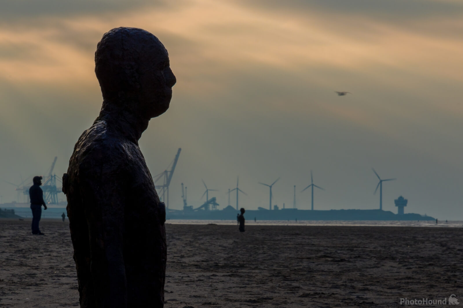 Image of Crosby Beach by Andy Killingbeck