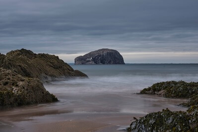 View of Bass Rock with rocky foreground