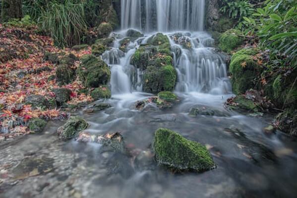 Littlebredy waterfall 