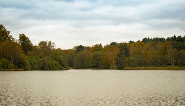 Across the Lake, November 2021

