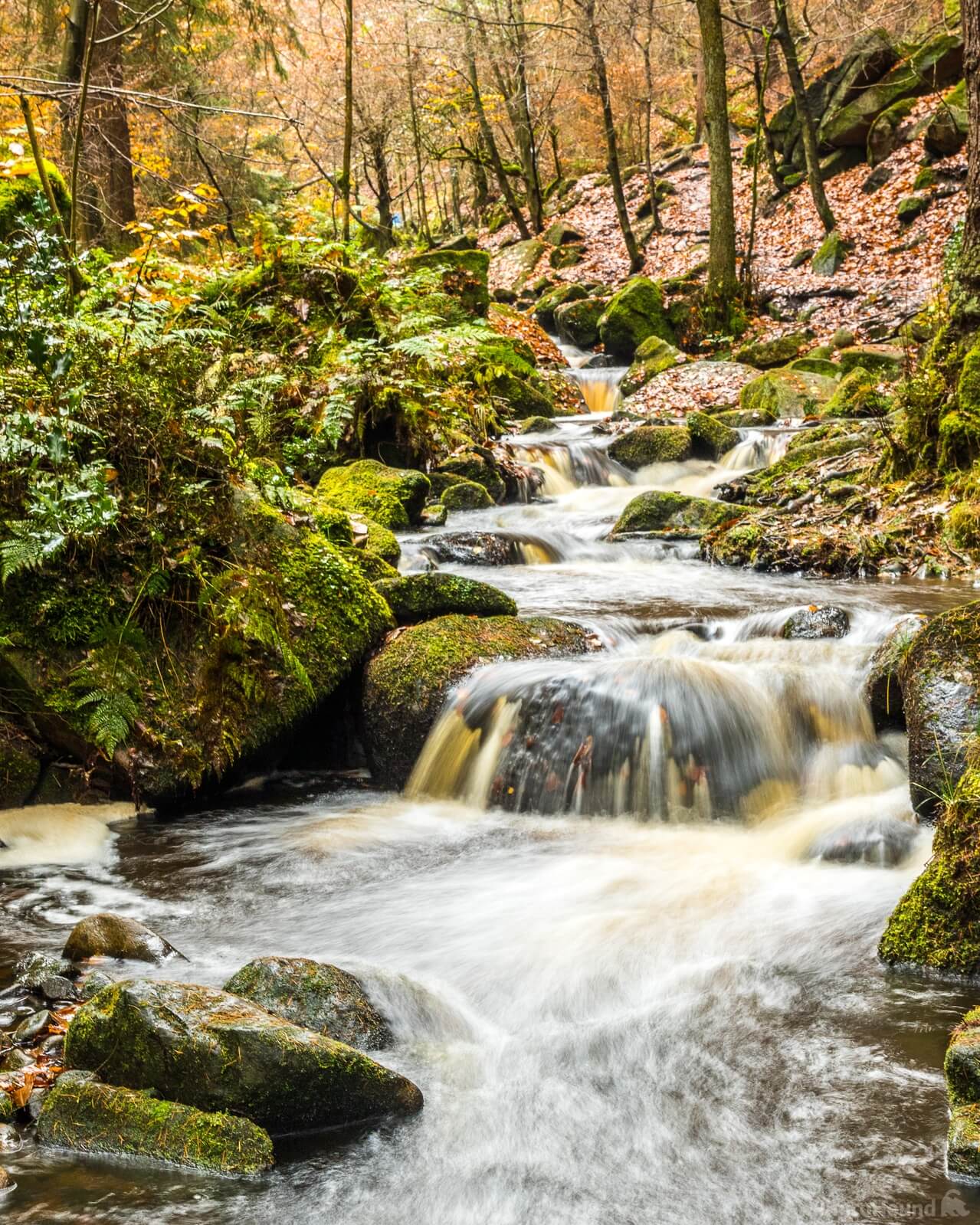 Image of Wyming Brook by Andy Killingbeck