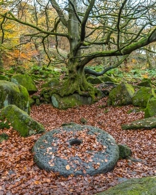 pictures of The Peak District - Padley Gorge Millstone