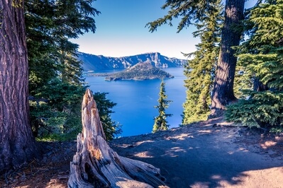 Photo of Crater Lake - Discovery Point Trail - Crater Lake - Discovery Point Trail