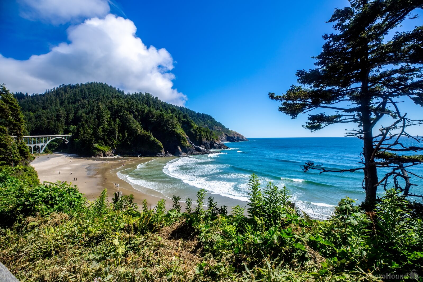 Image of Heceta Head Lighthouse by Darrell Evans
