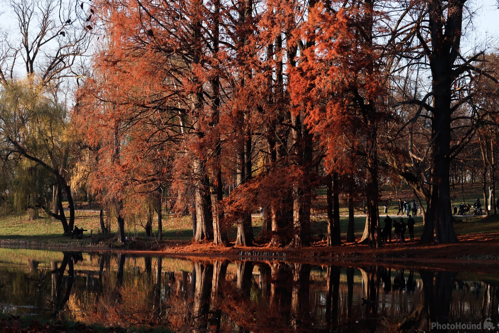 Image of Nicolae Romanescu Park by Cristian Balu