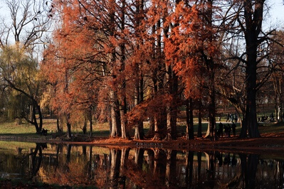 photos of Romania - Nicolae Romanescu Park