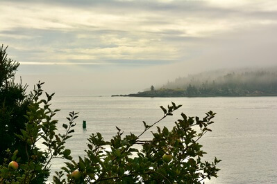 View across the harbor mouth in the fog.  Taken from gravel path.