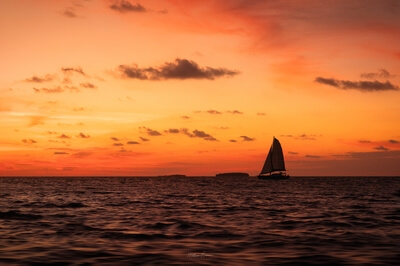 Sunset boat cruise