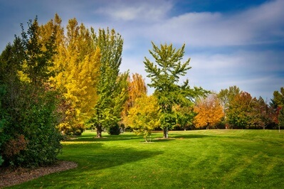Image of Yakima Arboretum - Yakima Arboretum