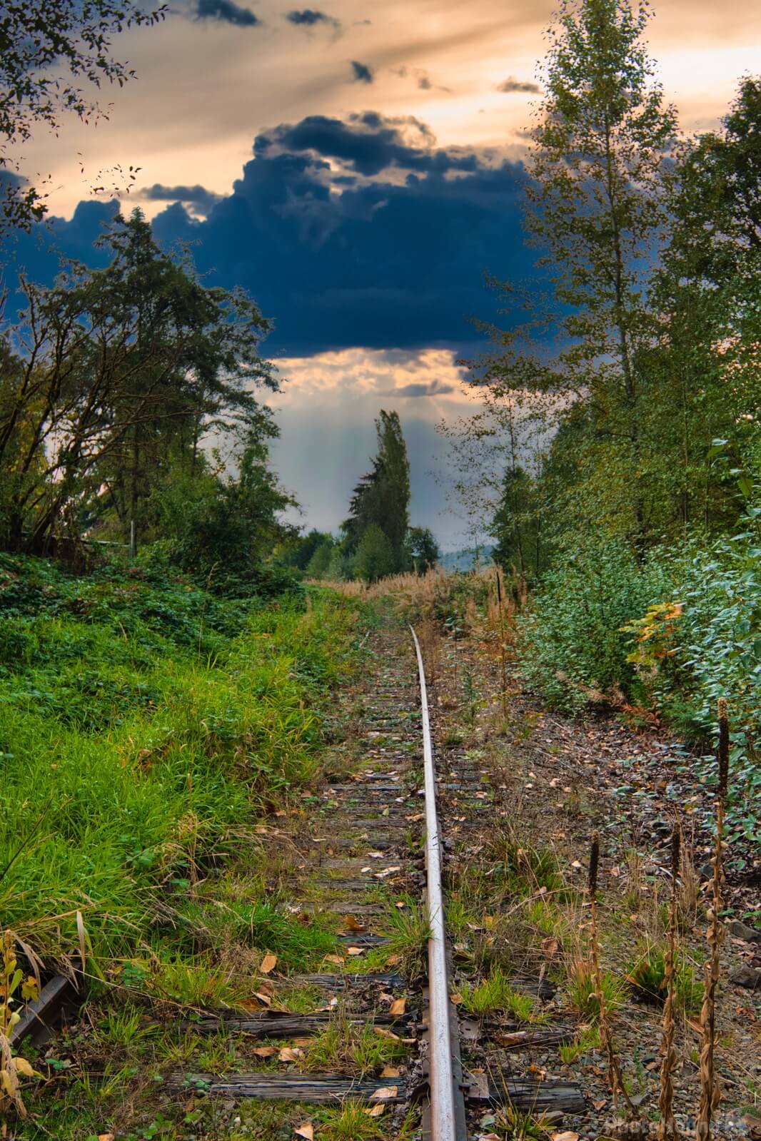 Image of Abandoned Railroad Tracks Clearview, WA by Steve West