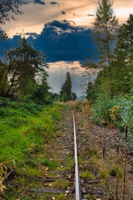 Picture of Abandoned Railroad Tracks Clearview, WA - Abandoned Railroad Tracks Clearview, WA
